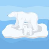 Polar bears threatened by global warming of ice flows