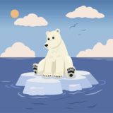 Melting ice from global warming affecting polar bears