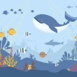 Celebrate World Oceans Day on June 8th