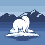 A polar bear stranded on reduced ice flows